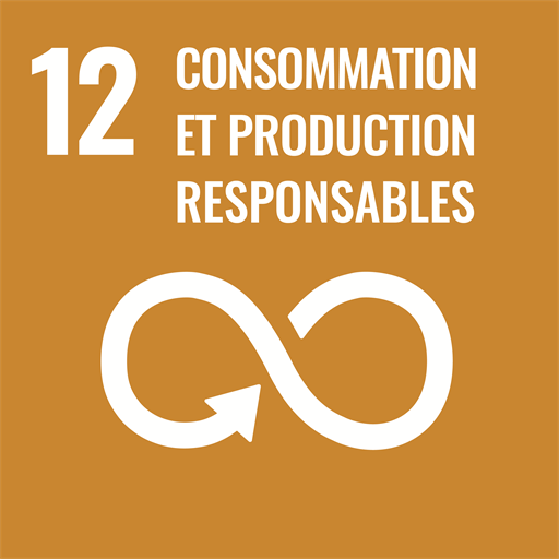 Objectif de développement durable 12 — Conso. et production responsables