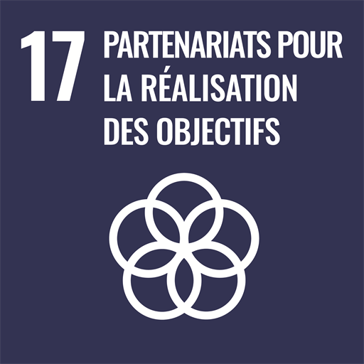 Objectif de développement durable 17 — Partenariats pour les objectifs